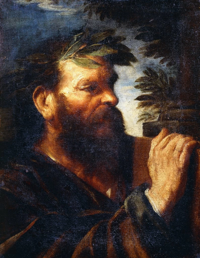 Testa di saggio